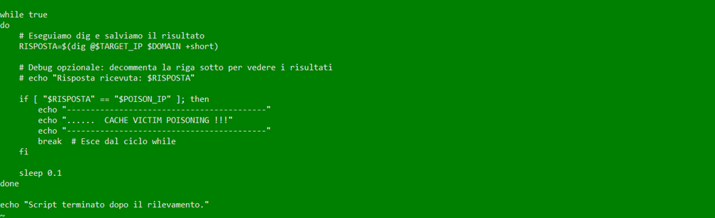 Query DNS dal client